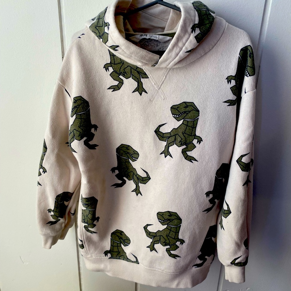 Boys hoodie H&M